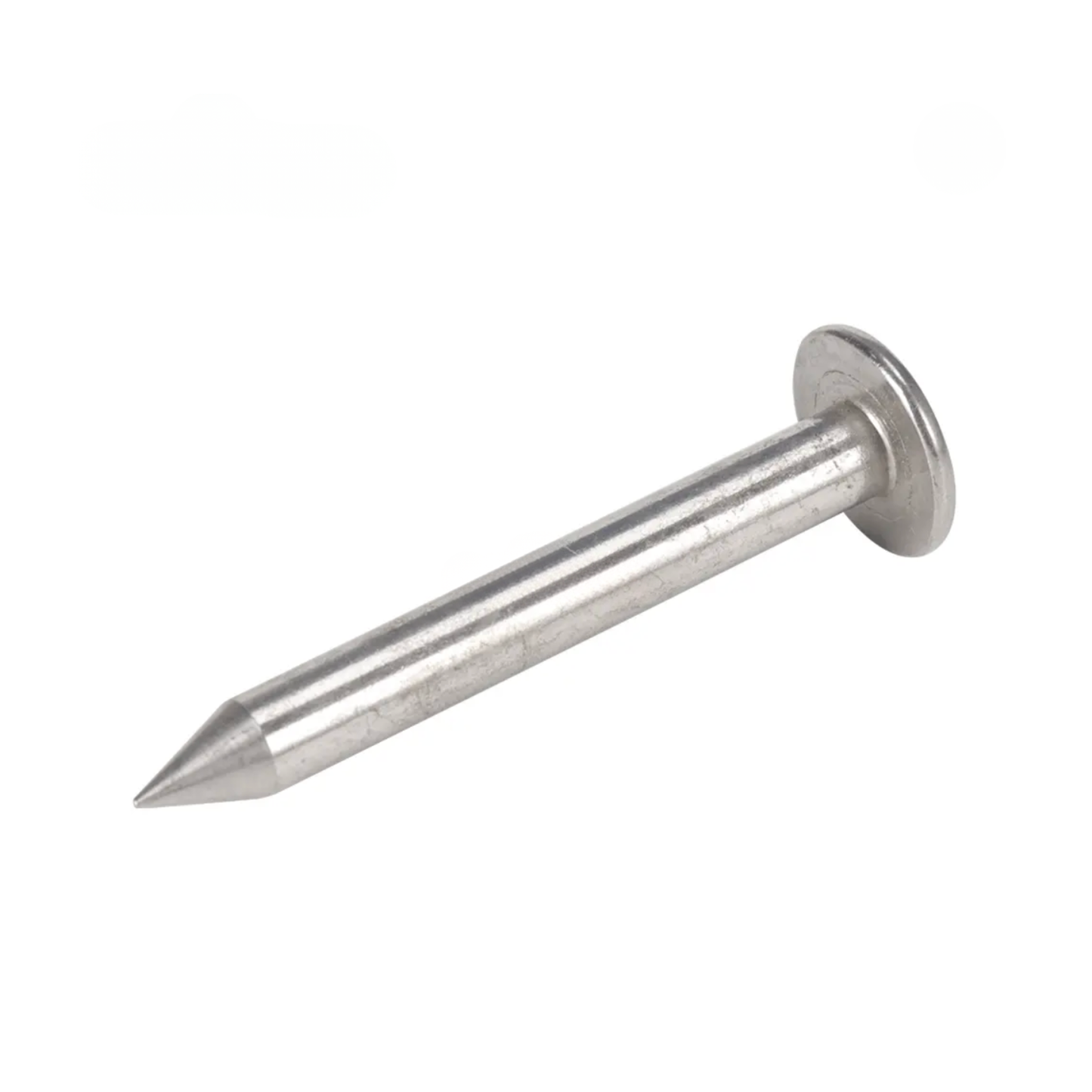 Surveying Nail 30mm - N01-30