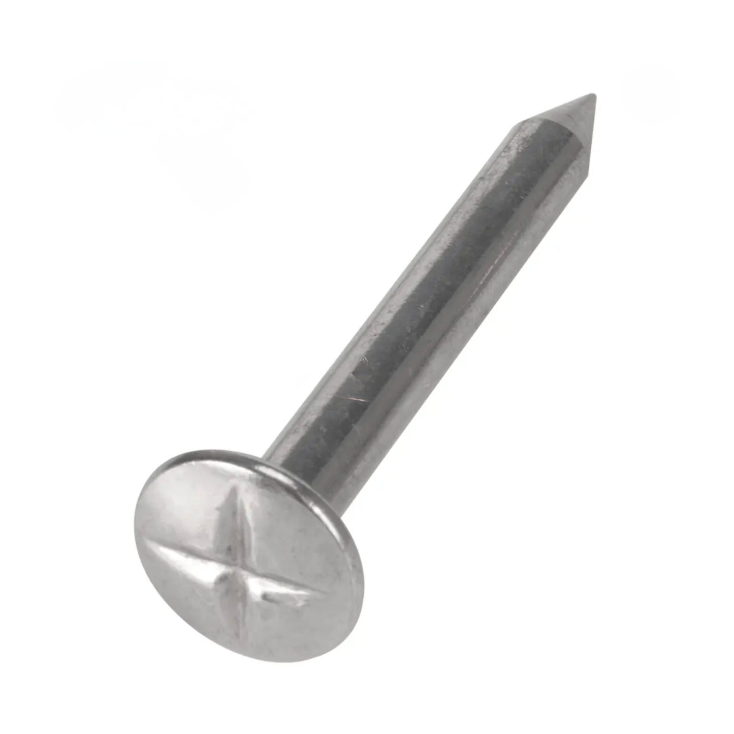 Surveying Nail 30mm - N01-30