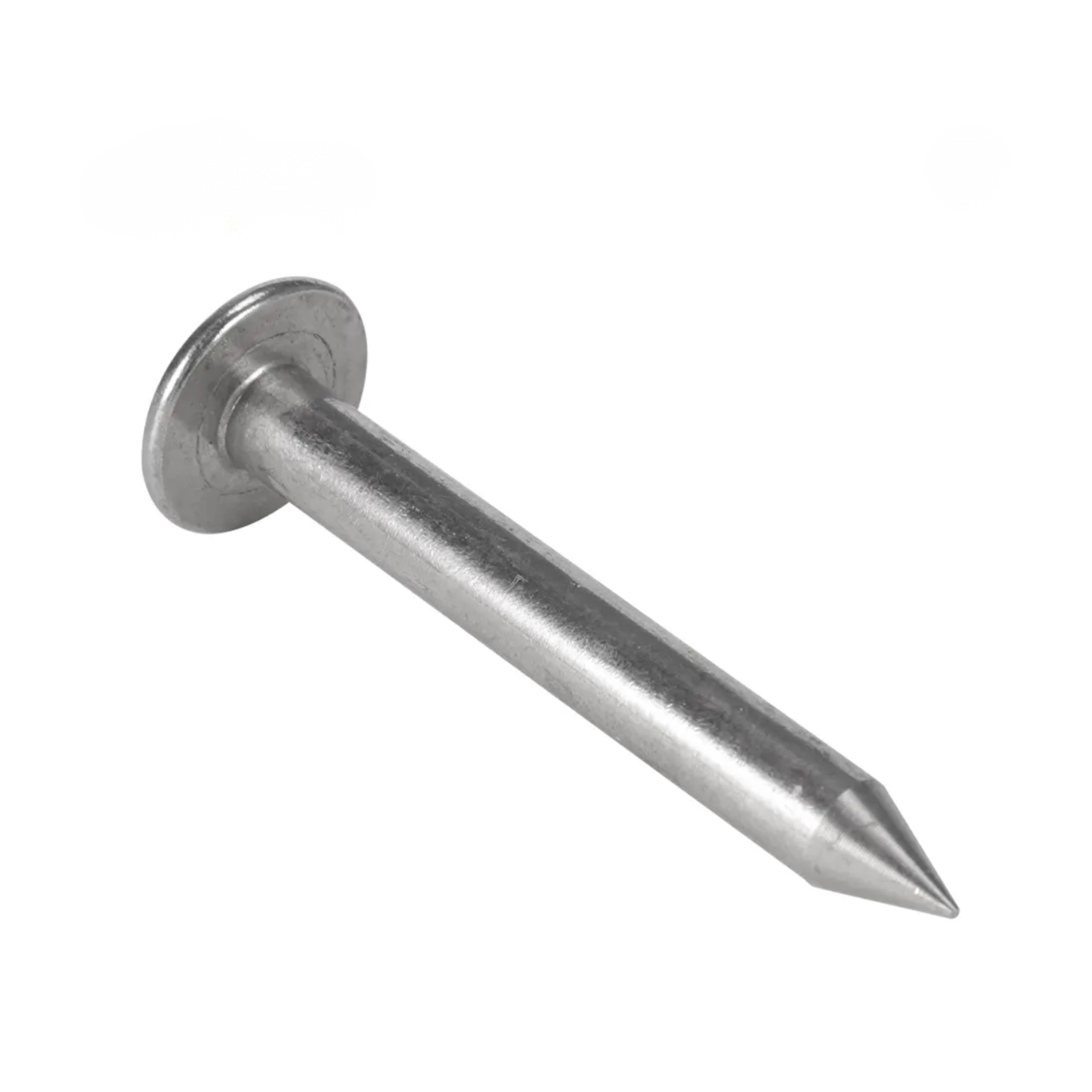 Surveying Nail 30mm - N01-30