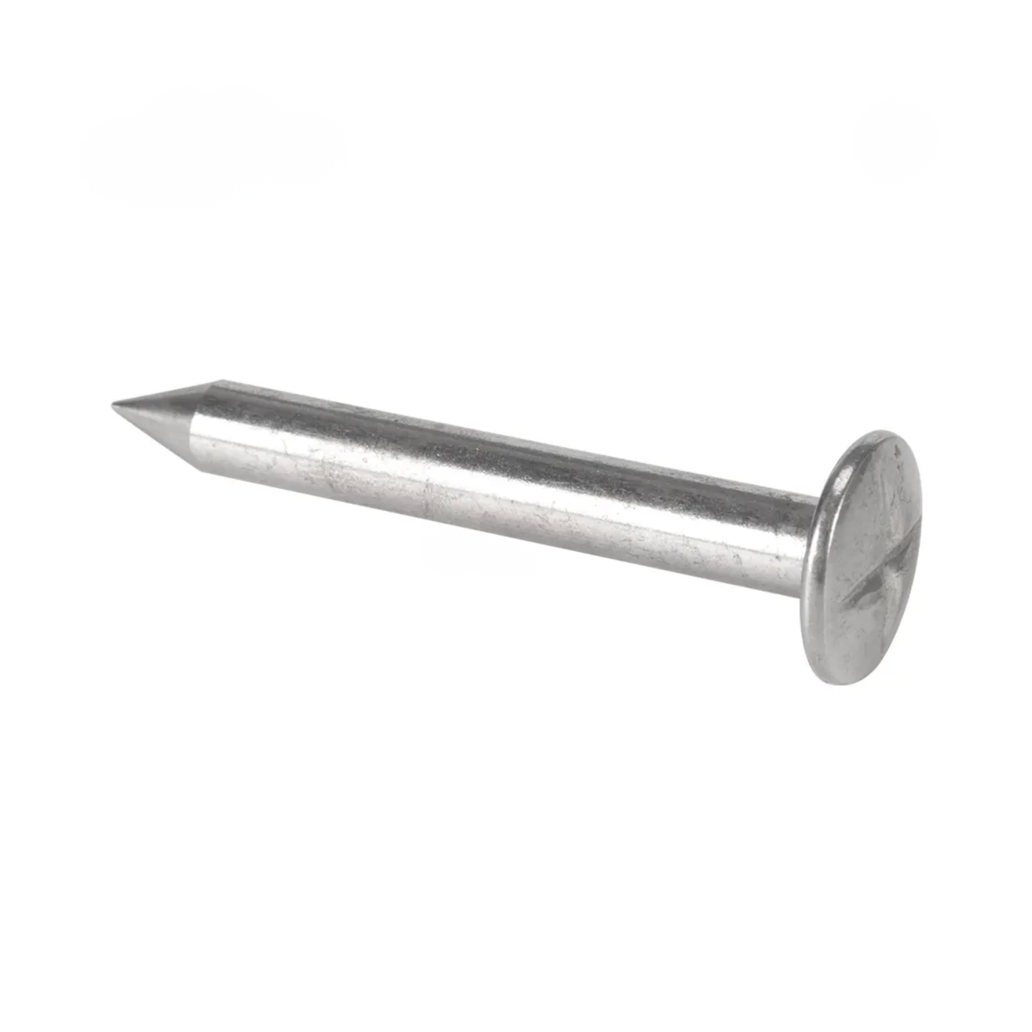 Surveying Nail 30mm - N01-30
